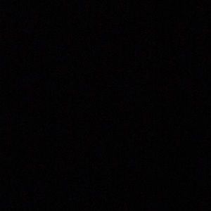 Meet your Posher, Roy